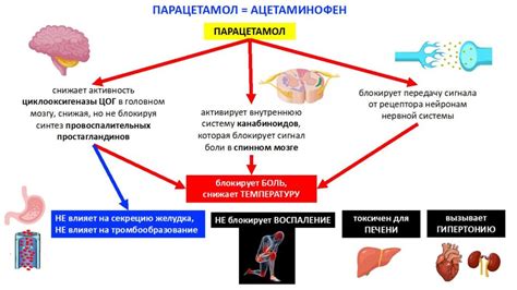 Принцип действия и эффекты применения