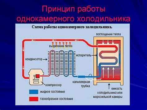 Принцип работы двухкамерного холодильника с двумя компрессорами