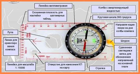 Принцип работы компаса: основные моменты