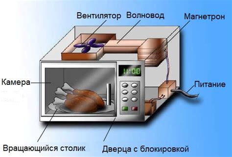 Принцип работы микроволновой печи SAMSUNG TDS