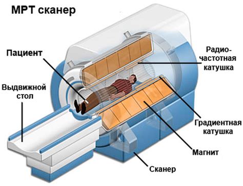 Принцип работы мюонного томографа