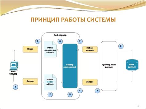 Принцип работы приложения ЕВА