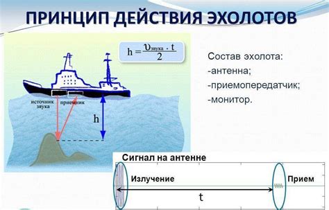 Принцип работы рыболовных эхолотов