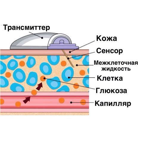 Принцип работы сенсора