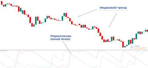 Принцип работы RSI индикатора