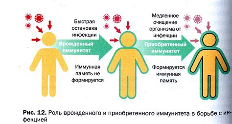 Приобретенный иммунитет: определение и особенности