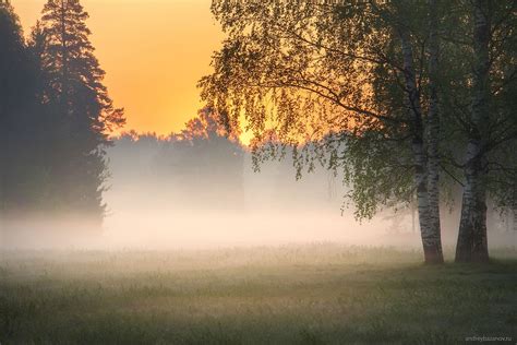 Природа в пробуждении: прелести раннего утра