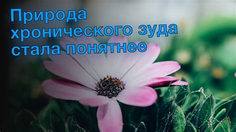 Природа зуда: научное объяснение