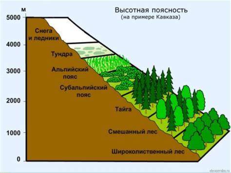 Природные растительные загустители