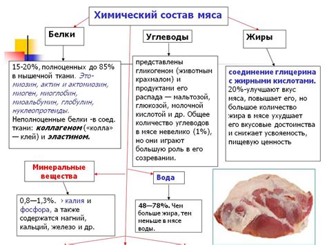 Присутствие белка в мясе