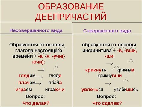 Причастия совершенного и несовершенного вида: особенности и отличия