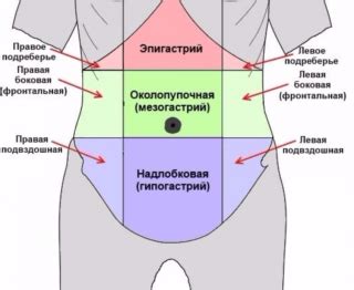 Причины брожения внутренних органов