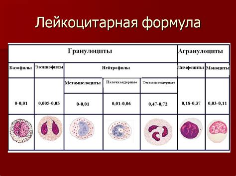 Причины возникновения миелоцитов в крови у ребенка