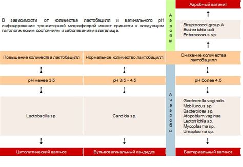 Причины возникновения транзиторной микрофлоры у мужчин