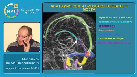 Причины гипотрофических изменений головного мозга