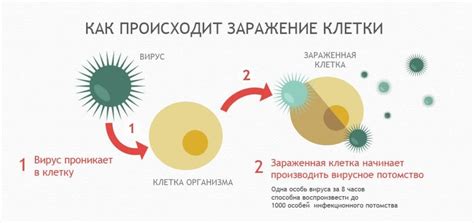 Причины заражения