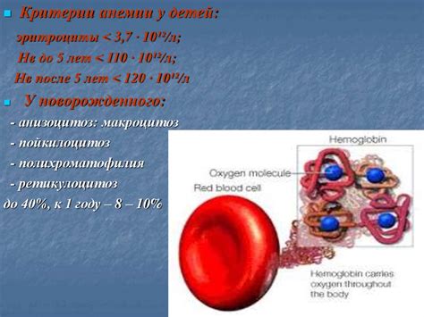 Причины изменения вязкости крови у разных возрастных групп