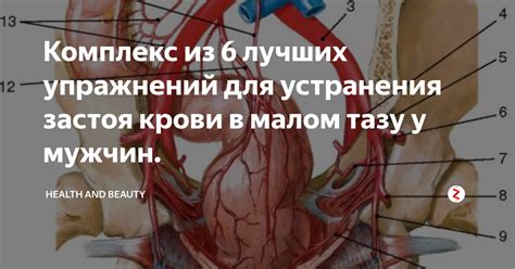 Причины и возможные последствия недостаточного кровообращения в малом тазу у женщин