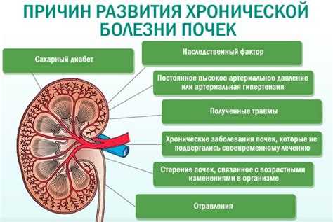 Причины и симптомы болезни