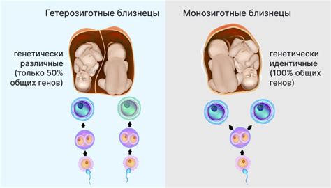 Причины и симптомы опухшего века: как понять, что это не прошлое