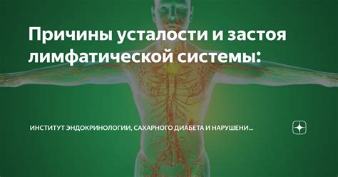 Причины нарушений в работе лимфатической системы