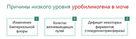 Причины низкого уровня уробилиногена в моче