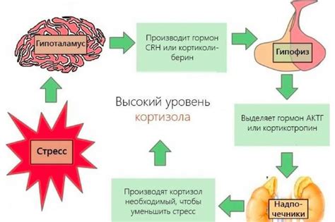 Причины повышенного уровня кортизола у женщин