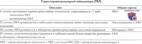 Причины повышенной эхогенности перивентрикулярной области у новорожденного