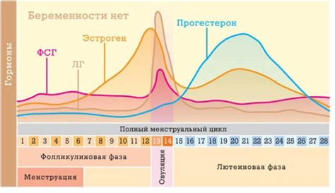 Причины пониженного эстрадиола в фолликулярной фазе