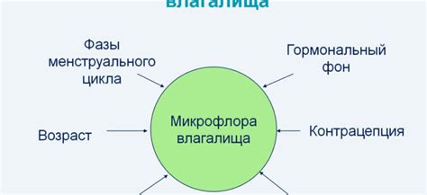 Причины появления коккобациллярной флоры в мокроте