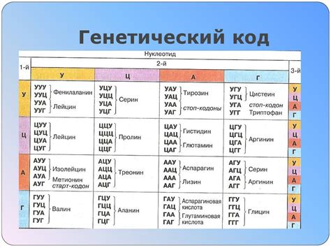 Причины формирования вырожденности генетического кода