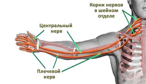 Причины чесания левой кулак на руке