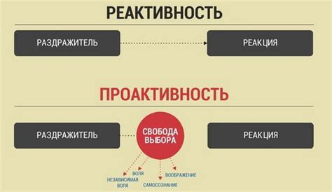 Проактивность, ответственность, коммуникабельность