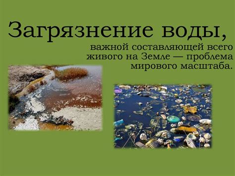 Проблема загрязнения воды: различные методы борьбы