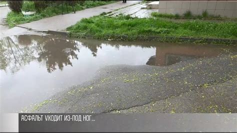 Проблема проникновения воды через асфальт