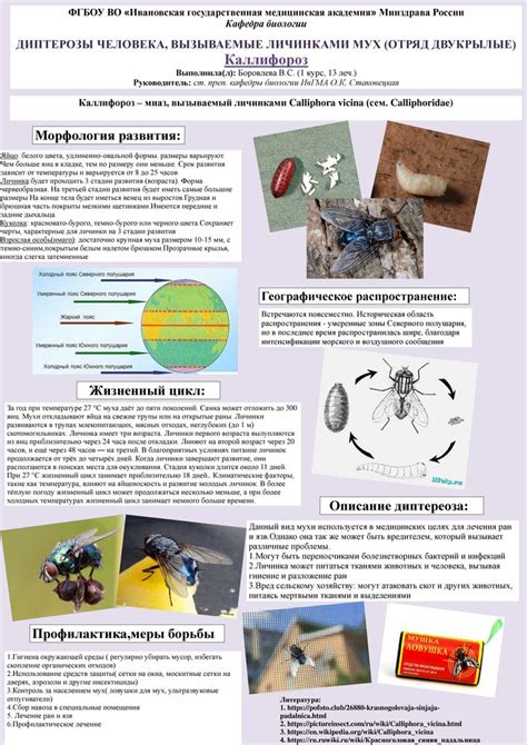 Проблема с личинками мух