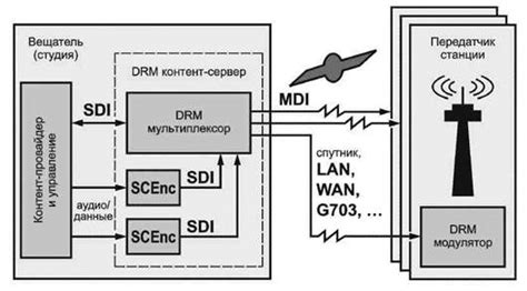 Проблемы и ограничения DRM