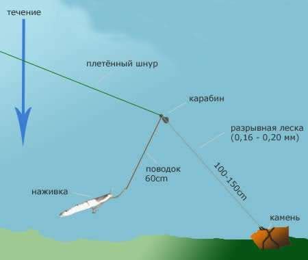 Проблемы со снастями и способами ловли