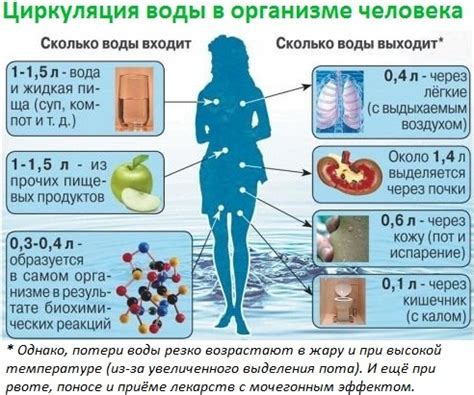 Проблемы с гидратацией: что делать для нормализации водного баланса