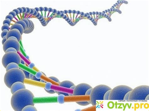 Проведение домашнего ДНК теста на отцовство детей: инструкция и советы