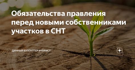 Проведение собраний и обсуждение проблемы с собственниками участков