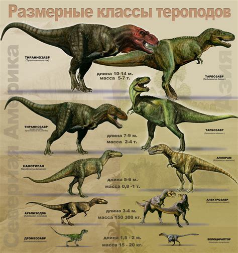 Проведите основные очертания тираннозавра