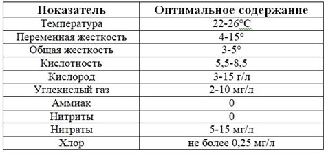 Проверка воды и подготовка рыбок