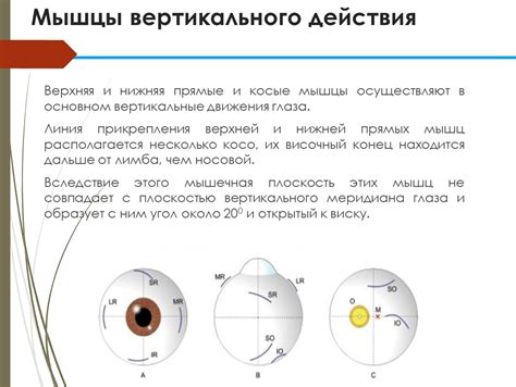 Проверка горизонтального и вертикального искусства глаза в зеркале