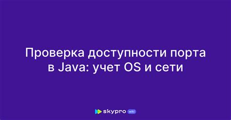 Проверка доступности репозитория Java