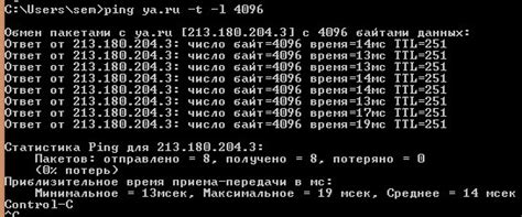 Проверка имени хоста с помощью утилиты ping на Linux