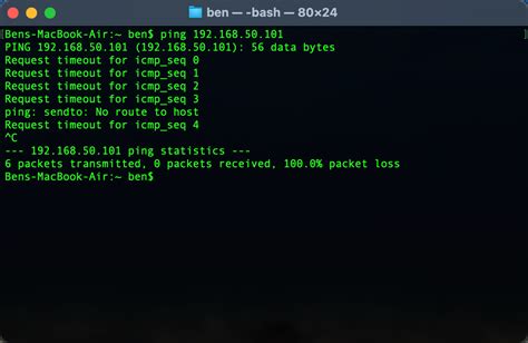Проверка и тестирование соединения с помощью IP адреса на Mac OS в терминале