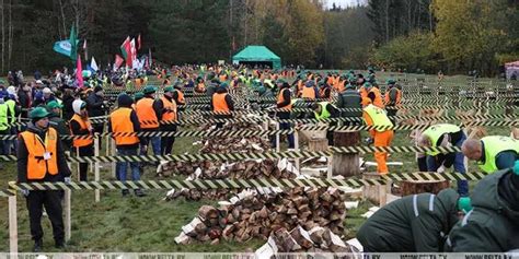 Проверка качества дров и топлива