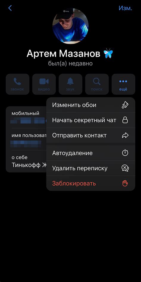 Проверка наличия уведомлений для конкретного чата в Телеграмме на iPhone 11