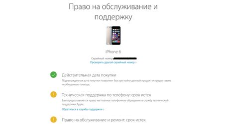 Проверка оригинальности выключенного iPhone: легкие методы для уверенности